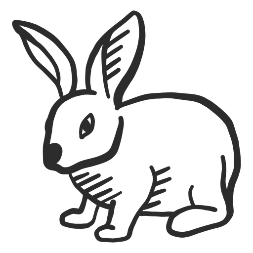 Hares PNG Pic Background
