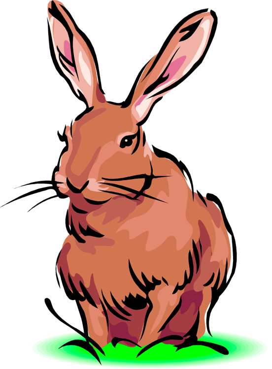 Hares Transparent Free PNG