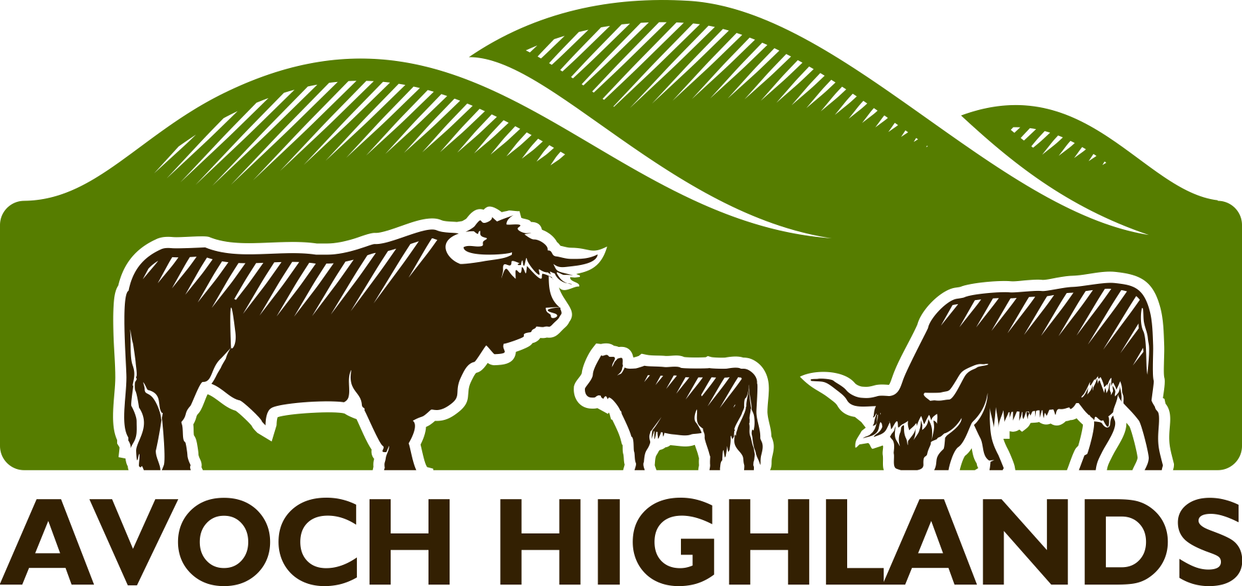 Highland Cow PNG Images HD