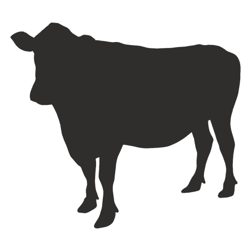 Highland Cow Transparent Images