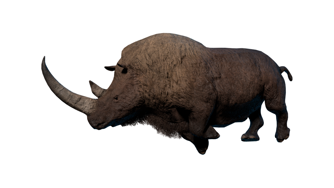 Hollow-Horned Ungulates PNG Images HD