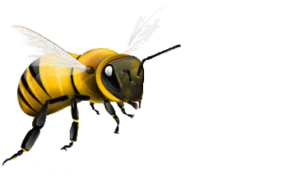Honey Bee PNG Free File Download