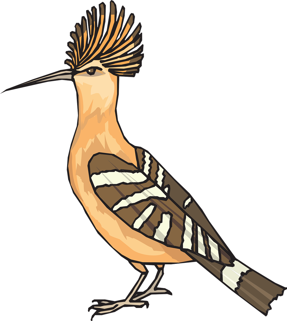 Hoopoes PNG Images HD