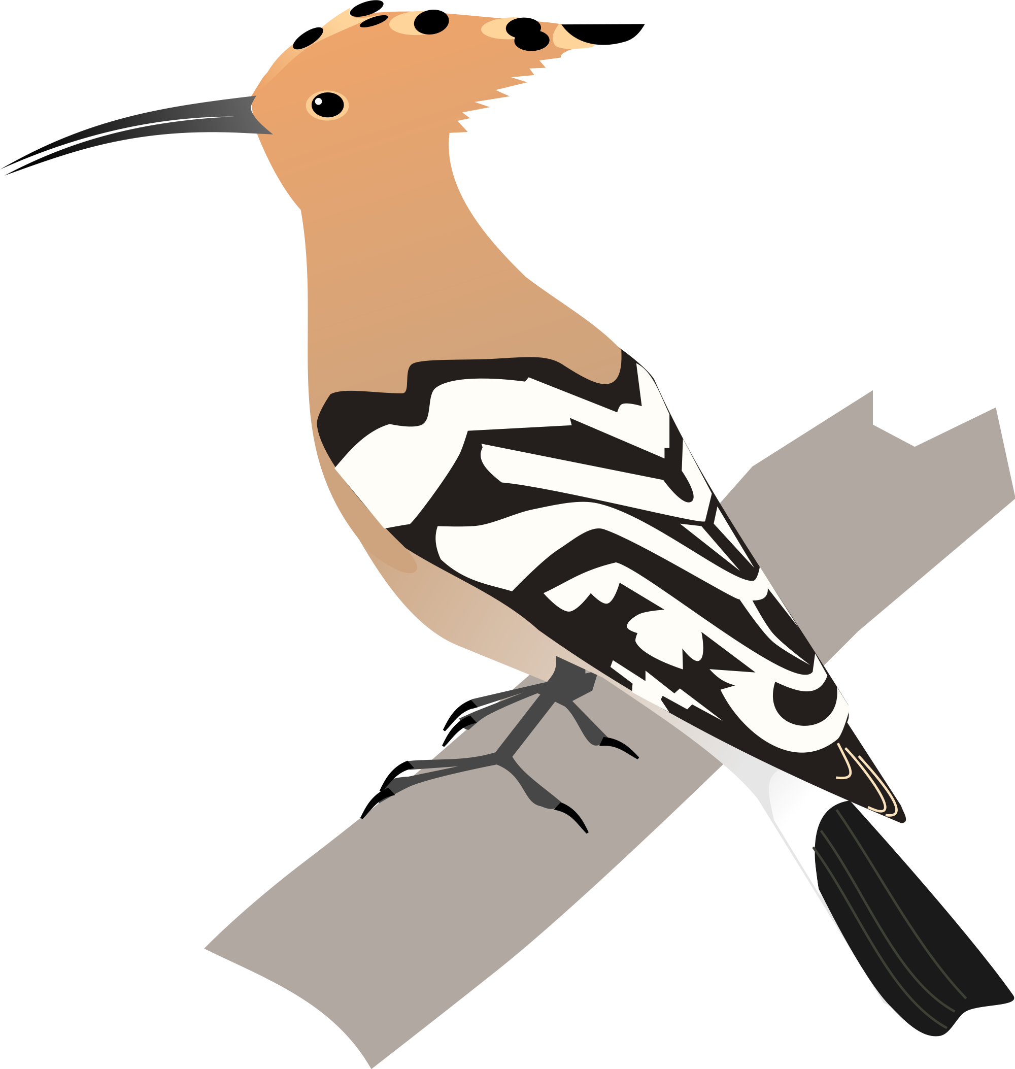Hoopoes Transparent Background