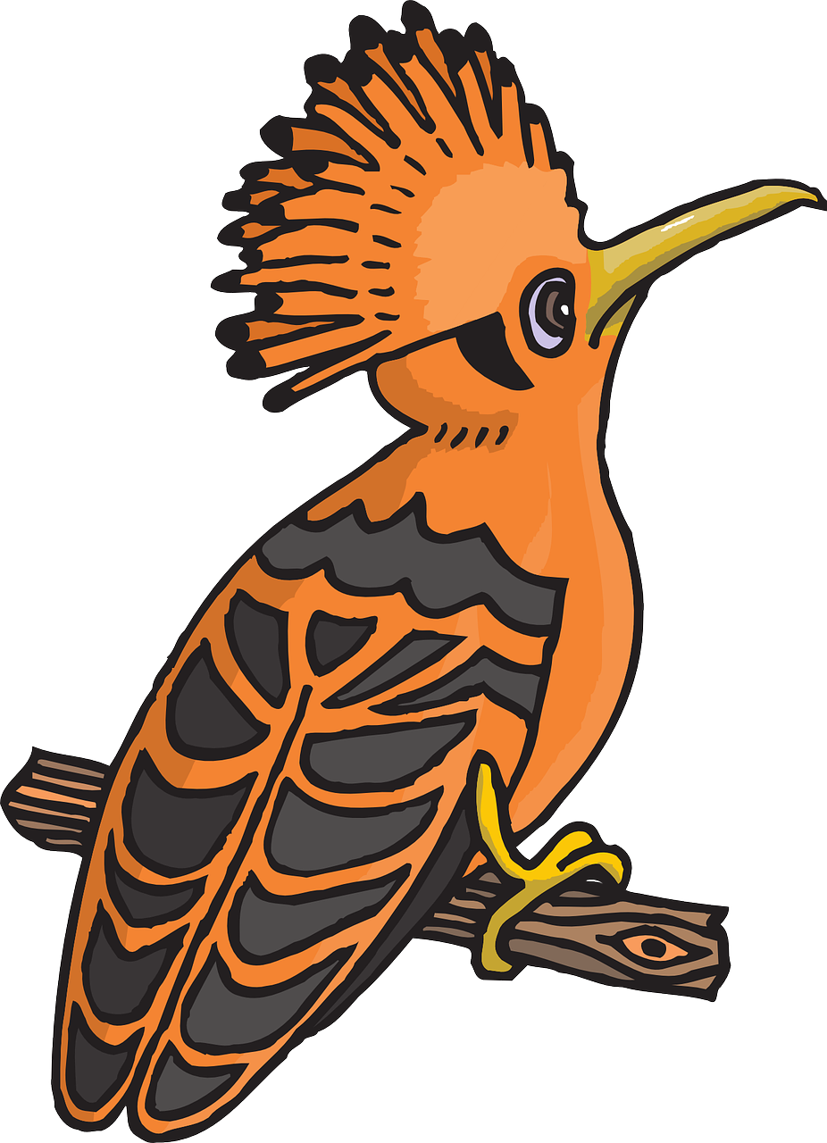 Hoopoes Transparent File