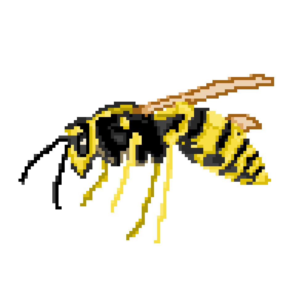 Hornet Insect PNG Photo Image