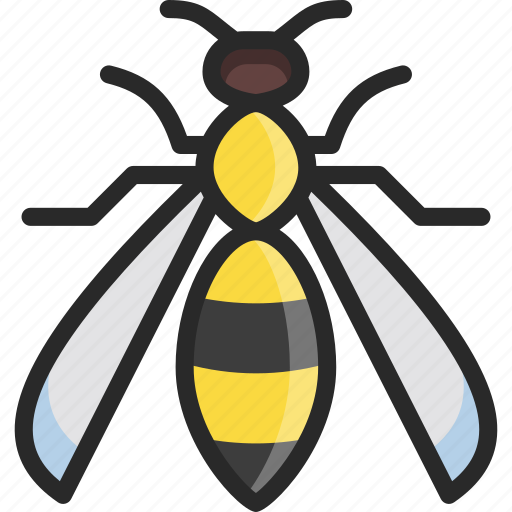 Hornet Insect Transparent Background