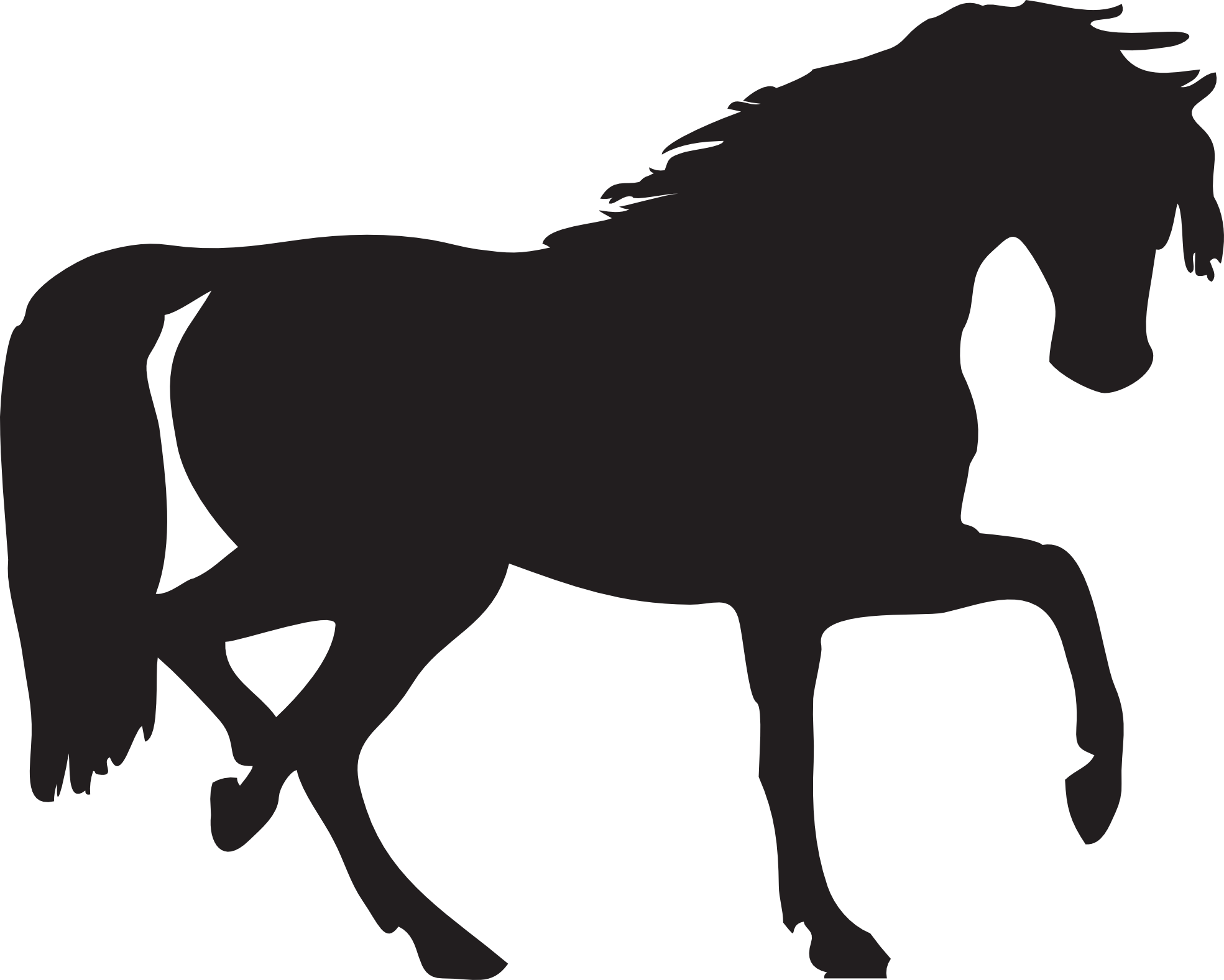 Horse Background PNG Image