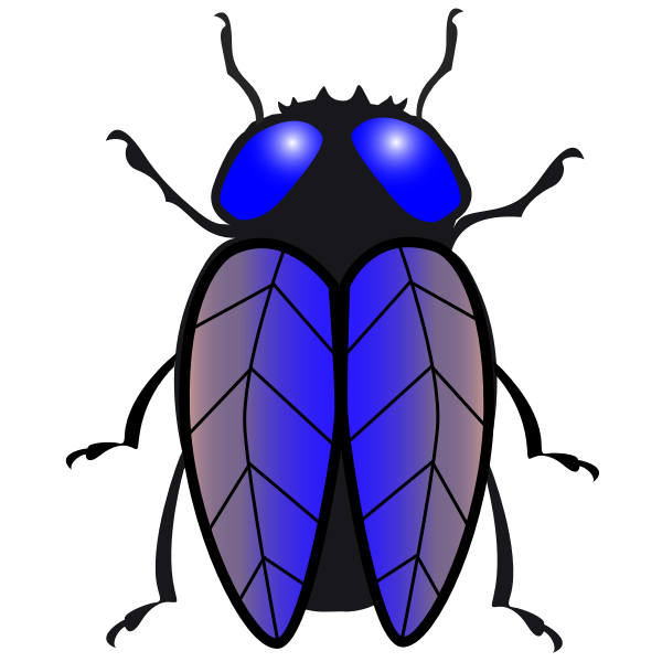 Housefly Background PNG Image