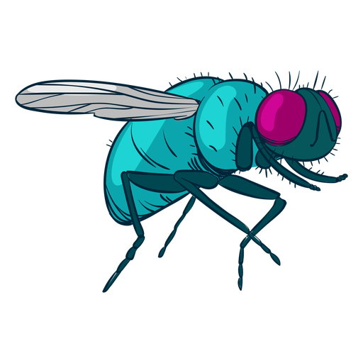 Housefly PNG Background