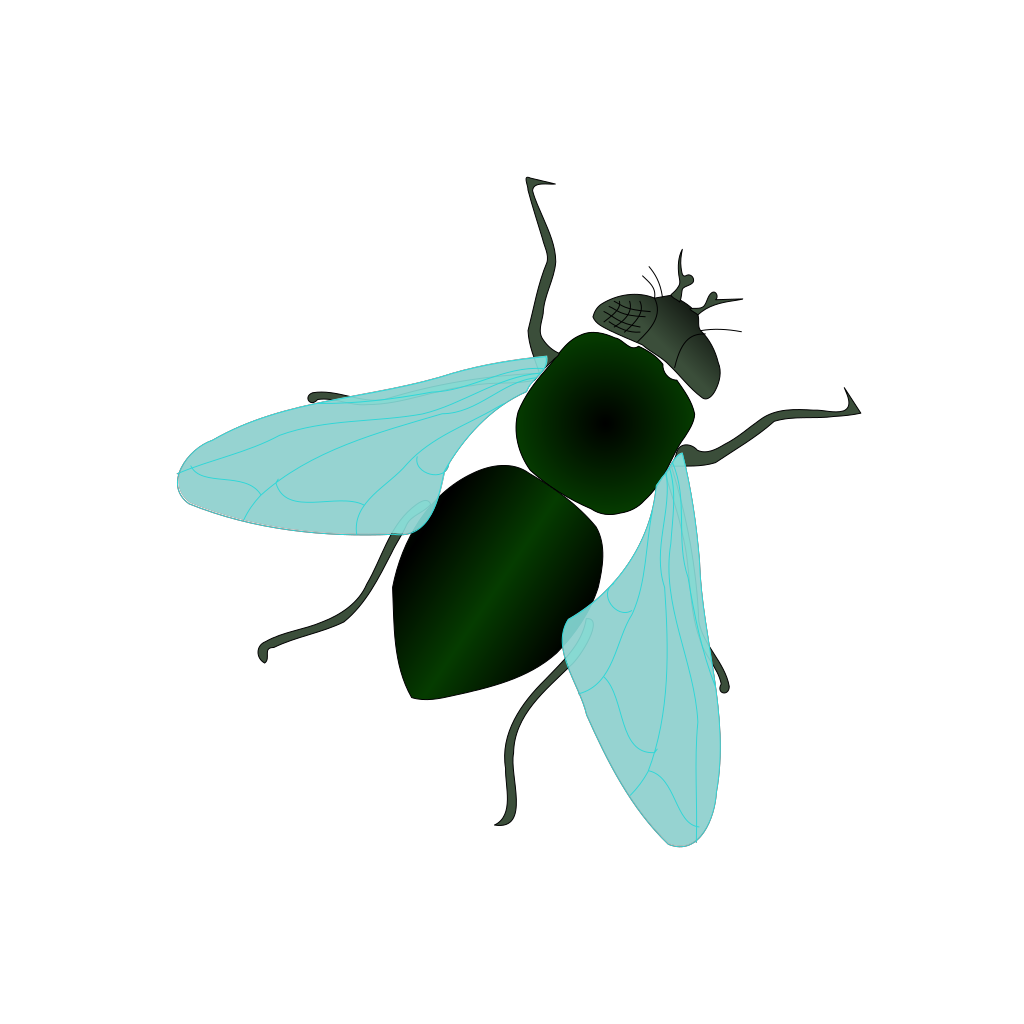 Housefly Transparent Images