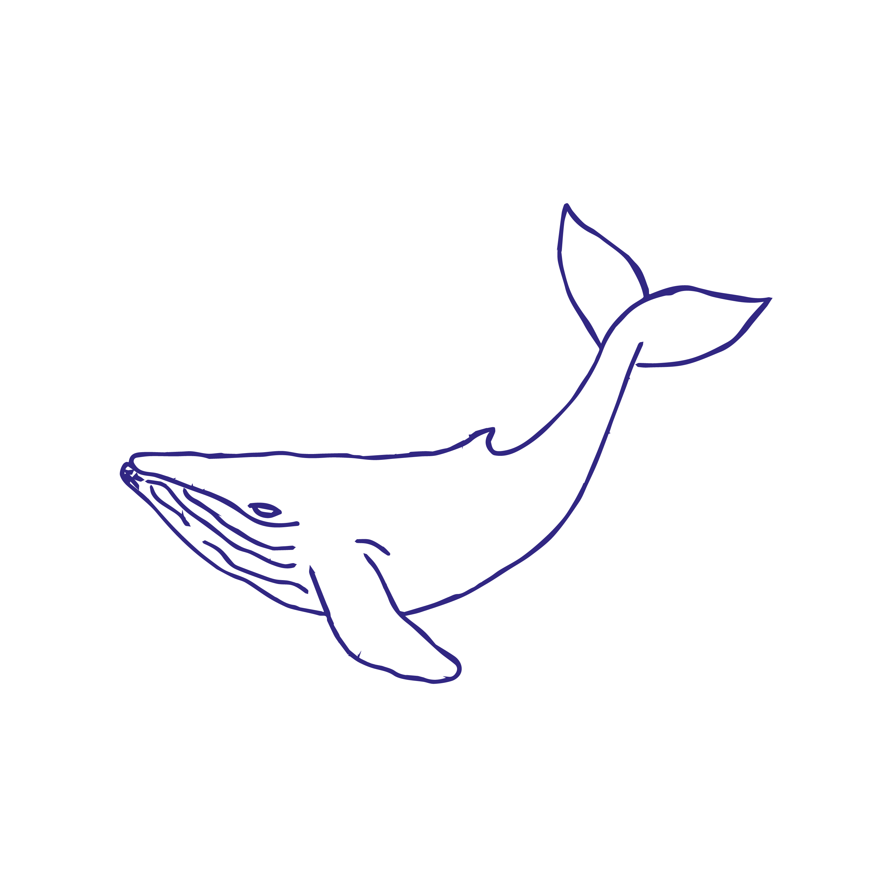 Humpback Whale Background PNG Image