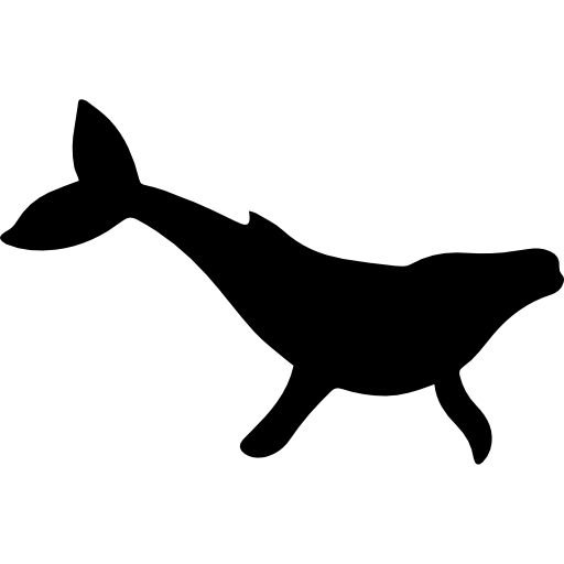 Humpback Whale Transparent Free PNG