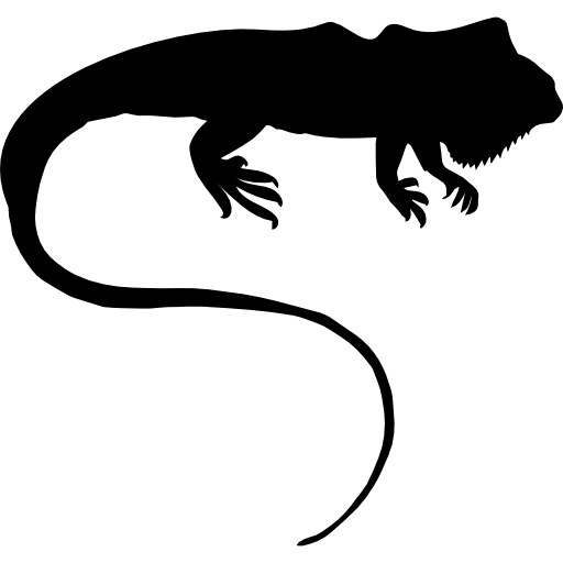 Iguana Transparent File