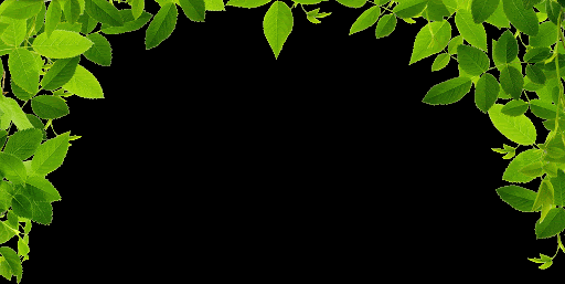 Jungle Vines PNG Clipart Background