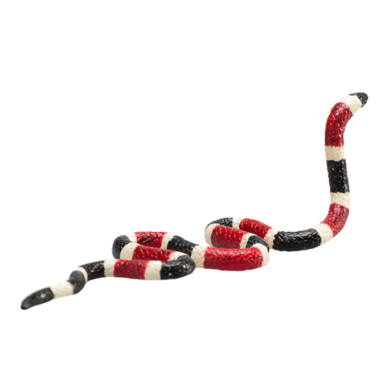 Kingsnakes Download Free PNG