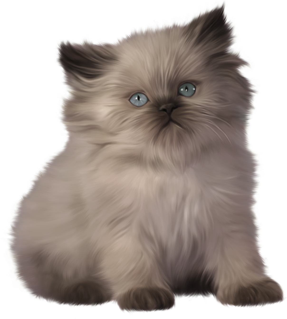 Kitten PNG Clipart Background