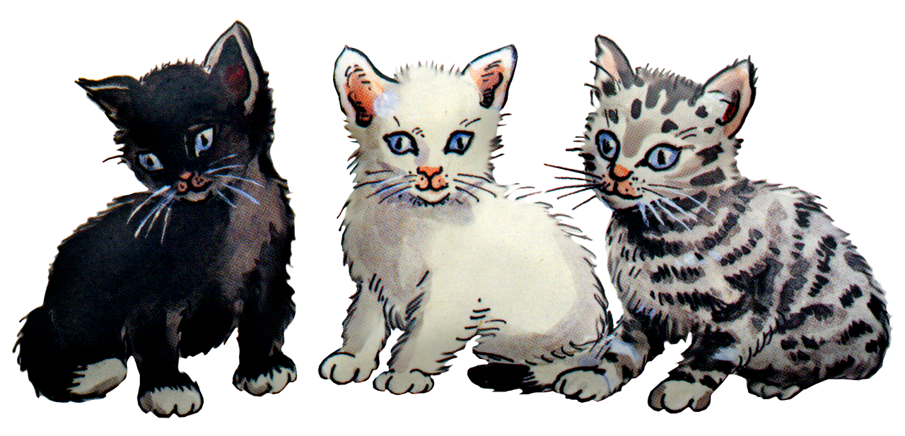 Kittens Background PNG
