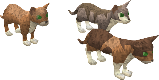 Kittens PNG Pic Background