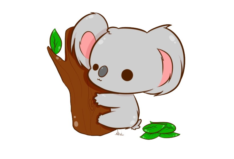 Koala Hd Free PNG