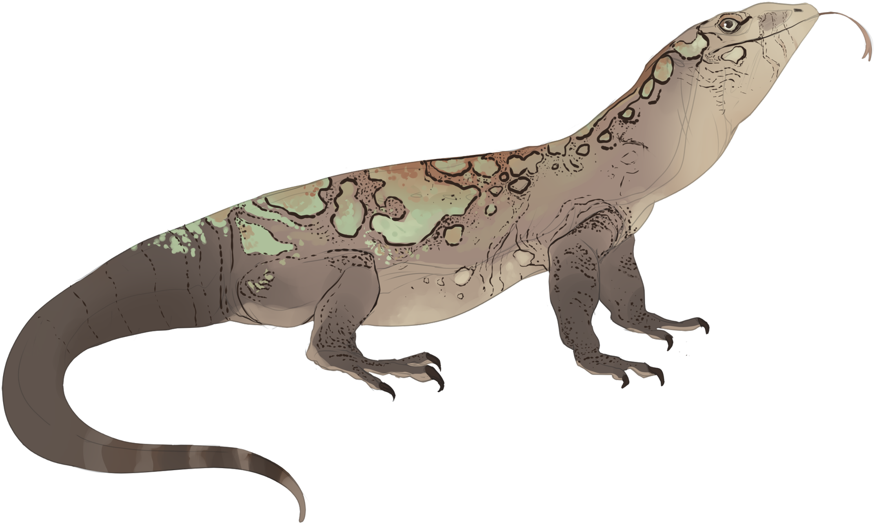 Komodo Dragon PNG Clipart Background