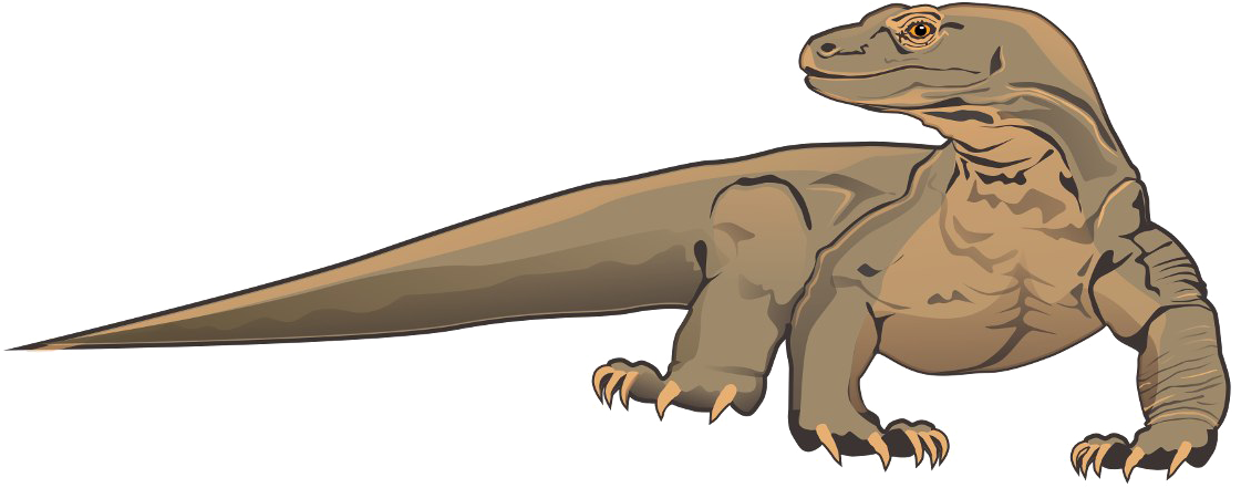 Komodo Dragon Transparent Background