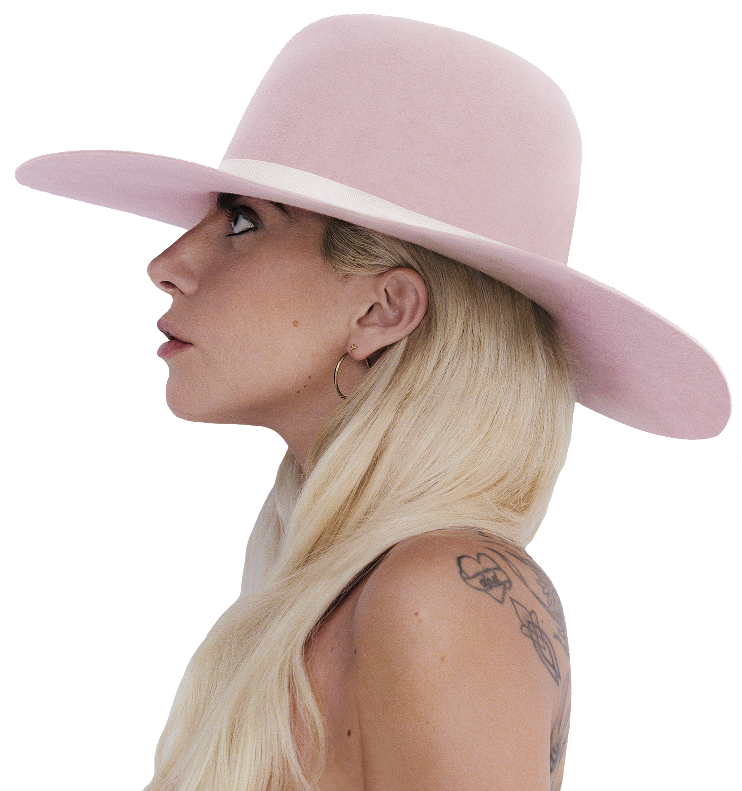 Lady Gaga Transparent Images