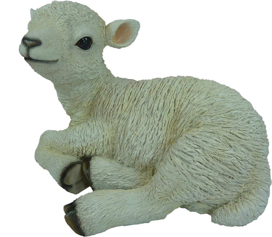 Lamb PNG Pic Background