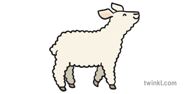 Lamb Transparent Image