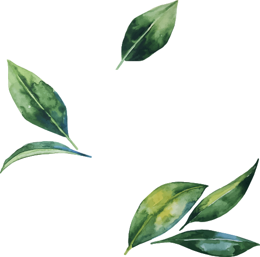 Leaf PNG Pic Background