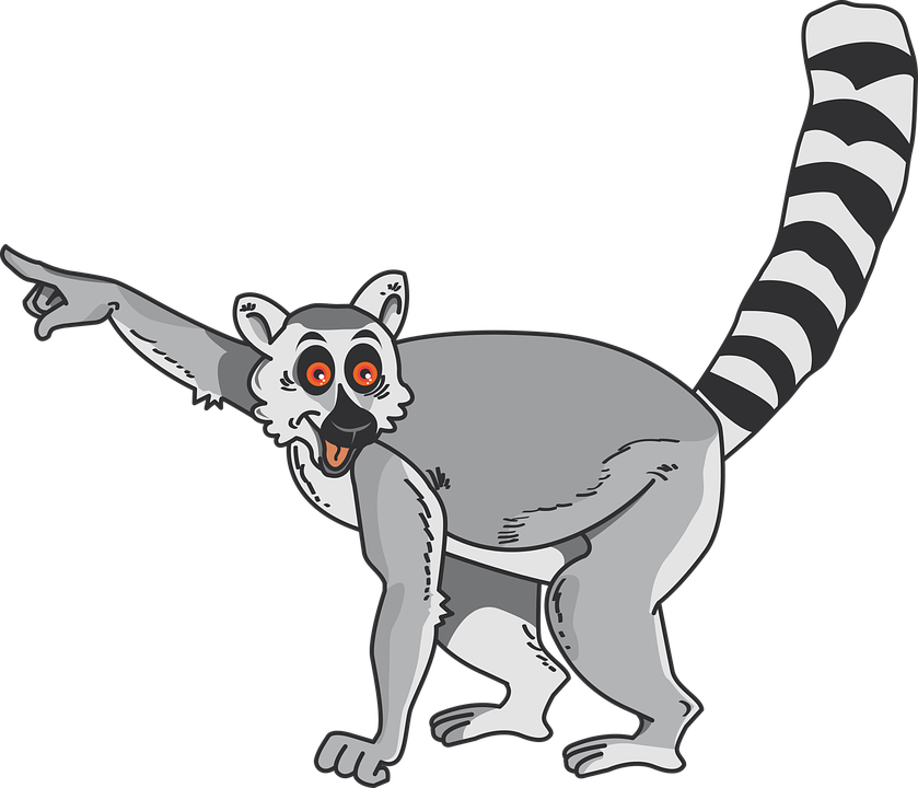 Lemurs Transparent Free PNG