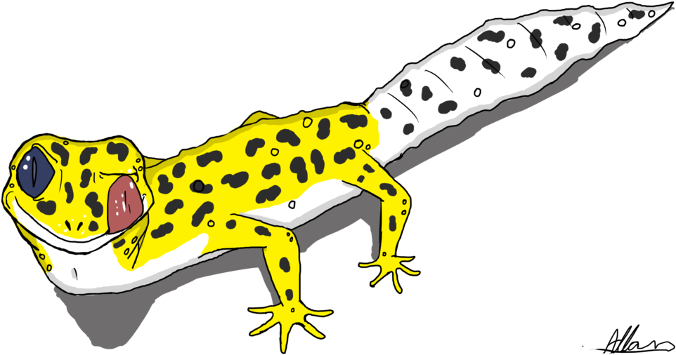 Leopard Lizards Background PNG Image