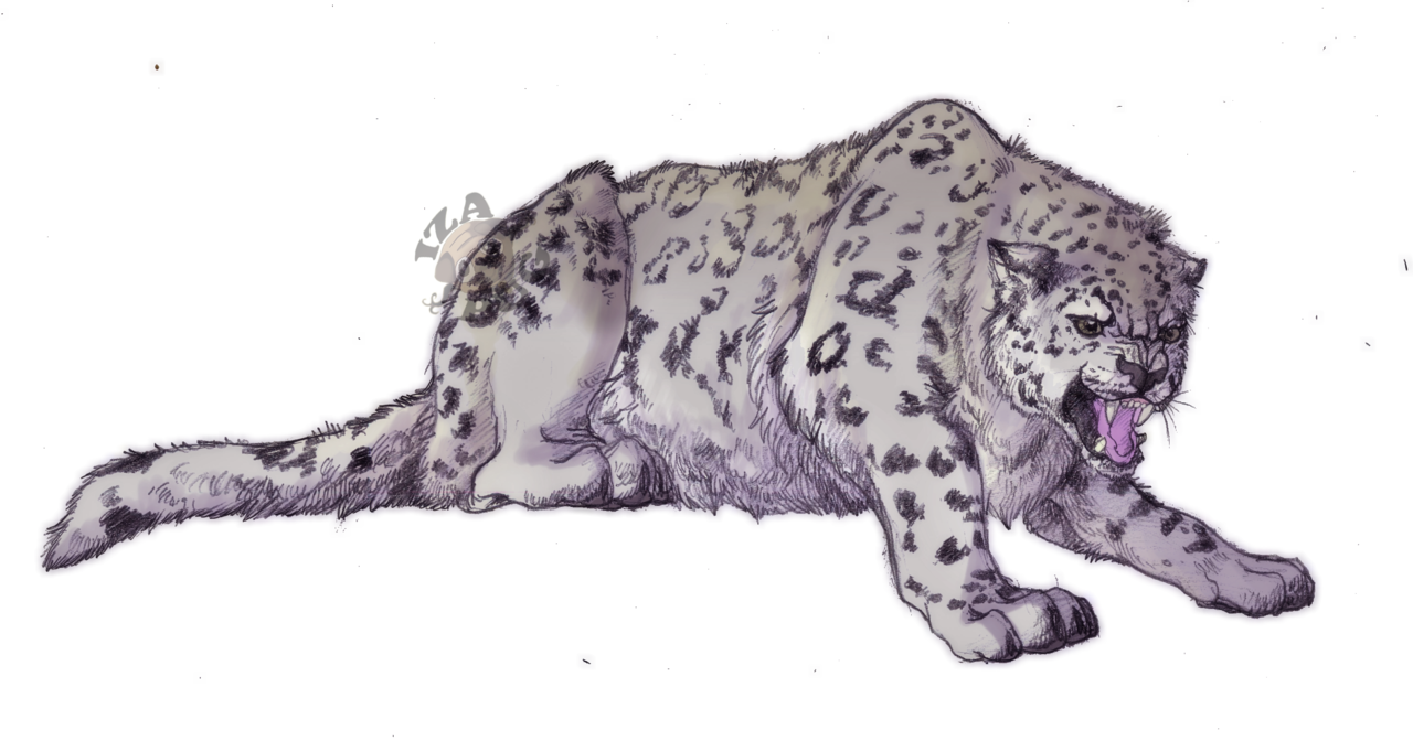 Leopards Download Free PNG