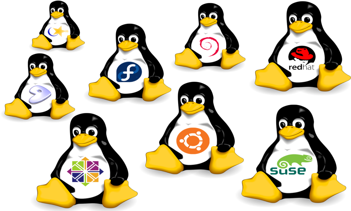 Linux Hosting PNG HD Quality