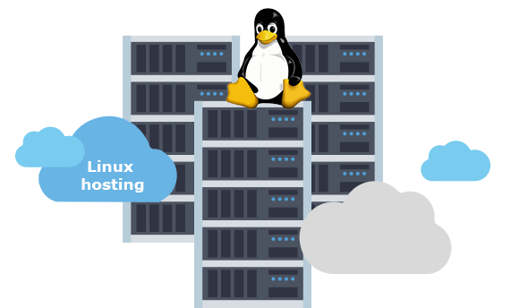 Linux Hosting PNG Photo Image