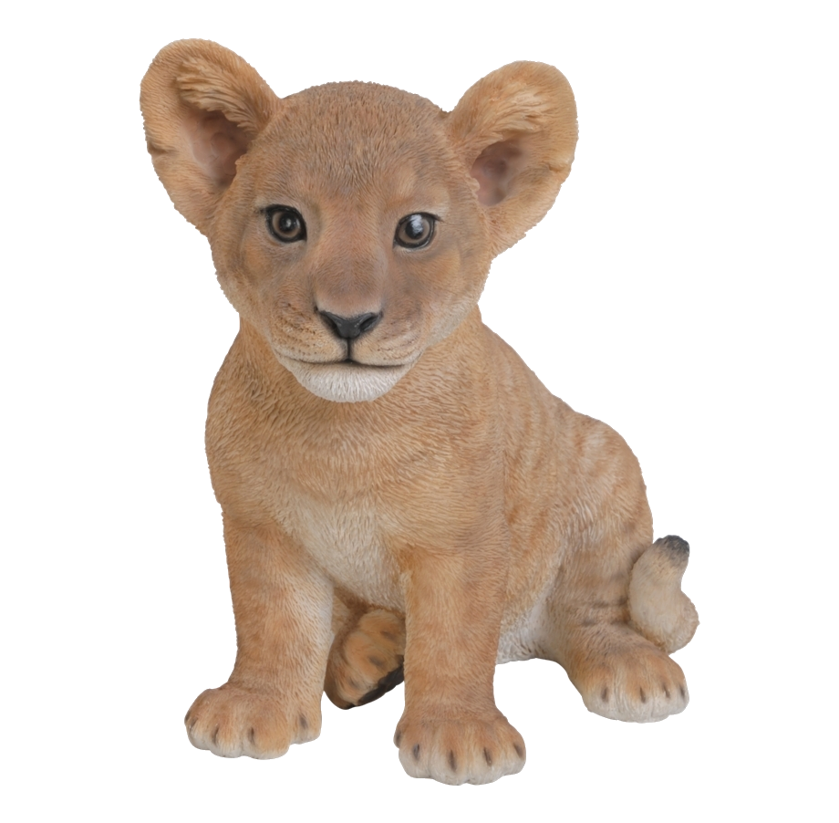 Lion Cub PNG Pic Background