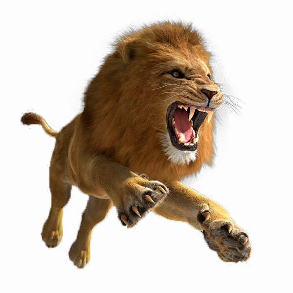 Lion Download Free PNG