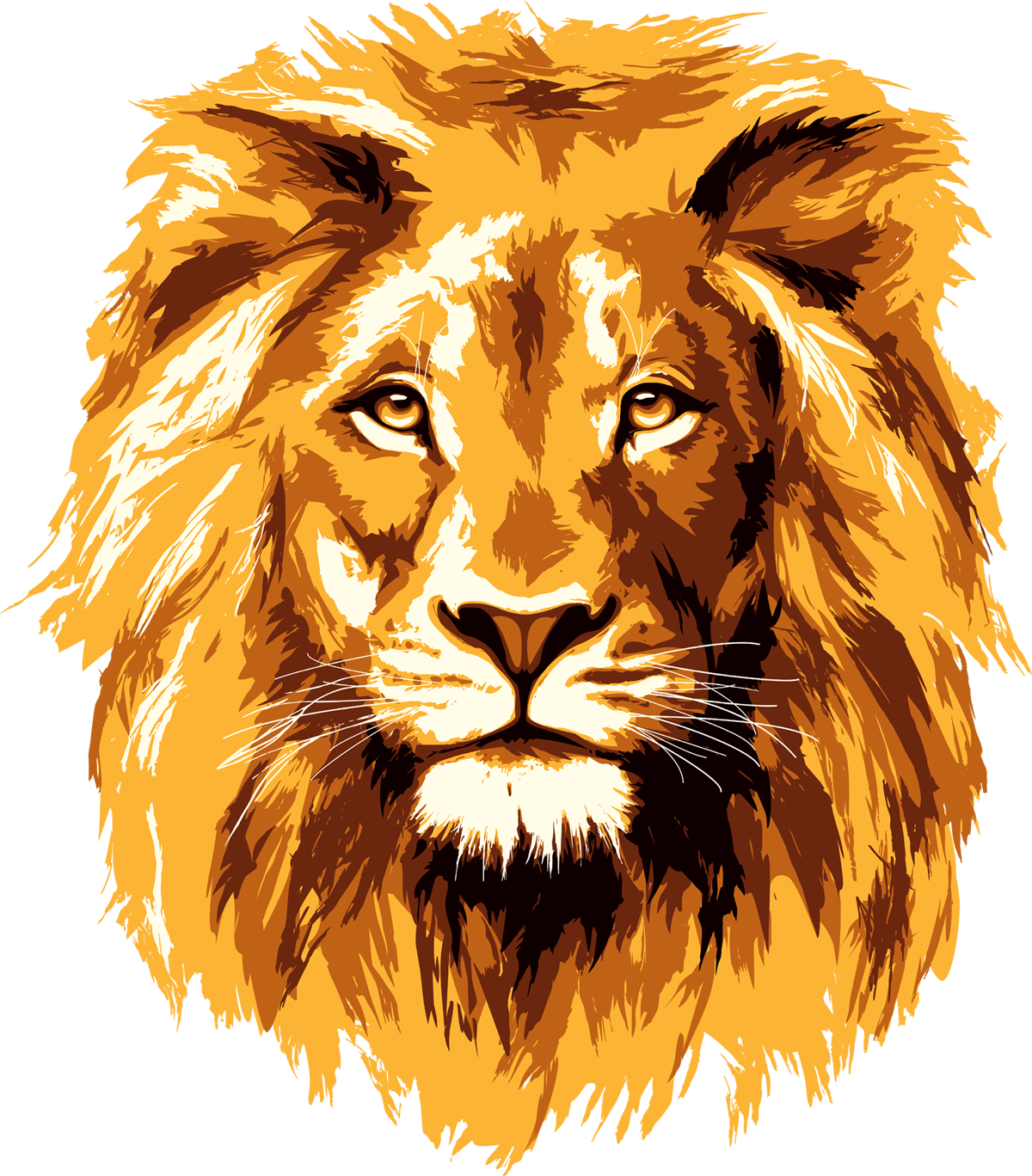 Lion PNG Pic Background