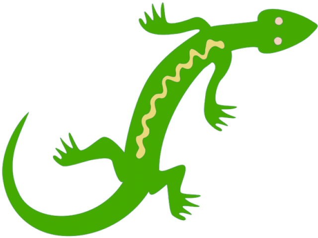 Lizard Background PNG Image