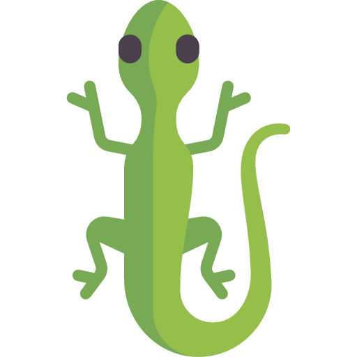 Lizard PNG Free File Download