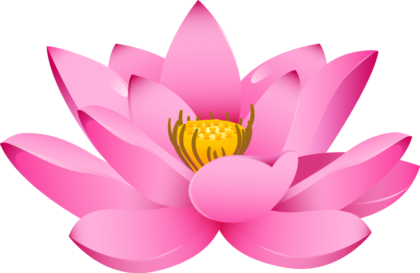 Lotus PNG Photo Image