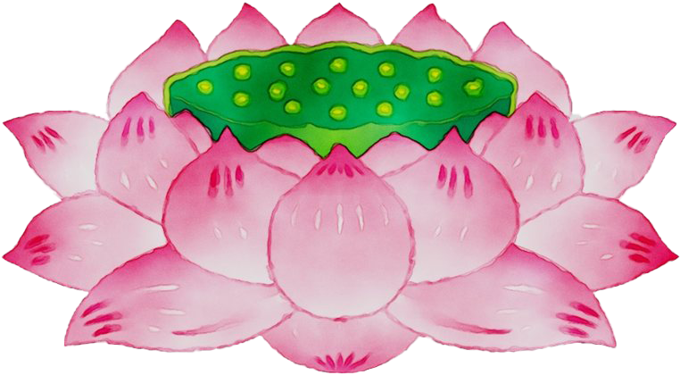Lotus Transparent Image