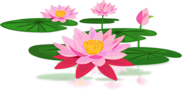 Lotus PNG Images Transparent Background | PNG Play