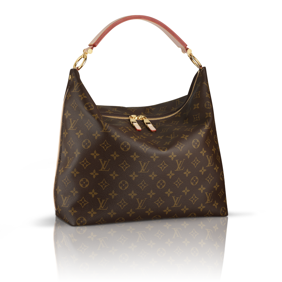 Louis Vuitton Brown Bag Transparent File