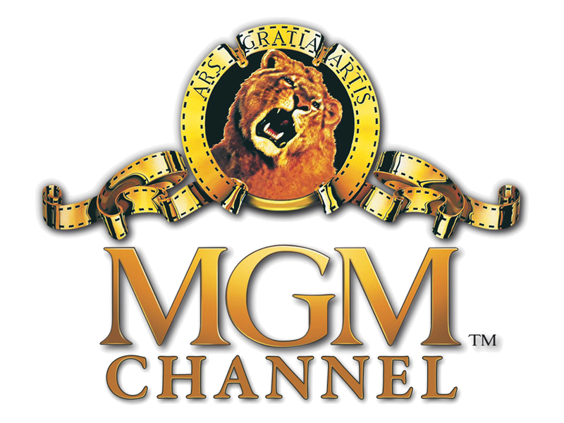 MGM Holdings PNG Clipart Background