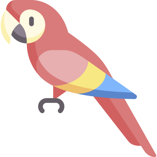 Macaw Background PNG Image