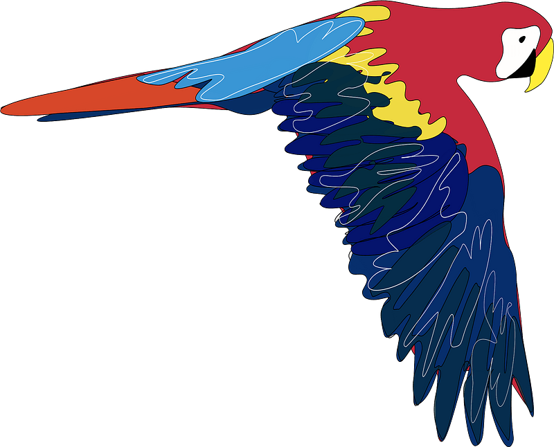 Macaw Background PNG