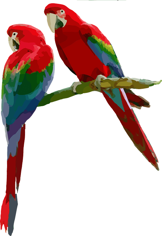 Macaw Free PNG