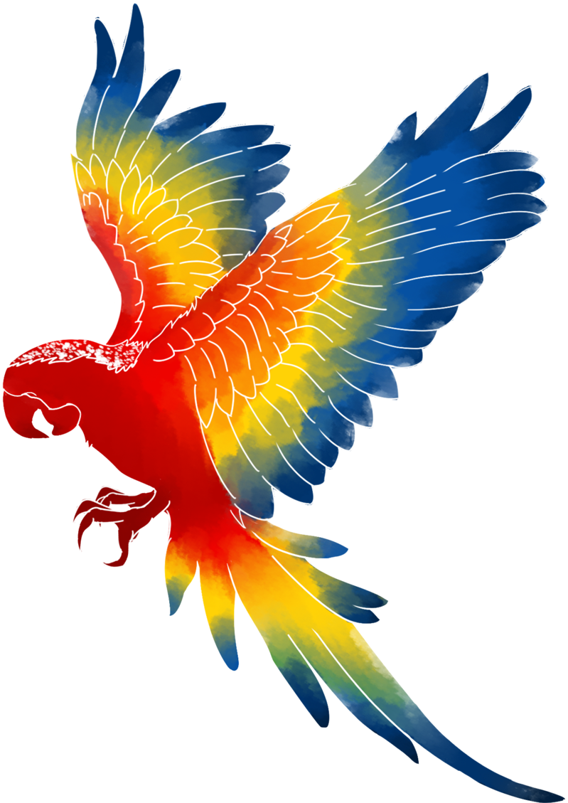Macaw Transparent Background