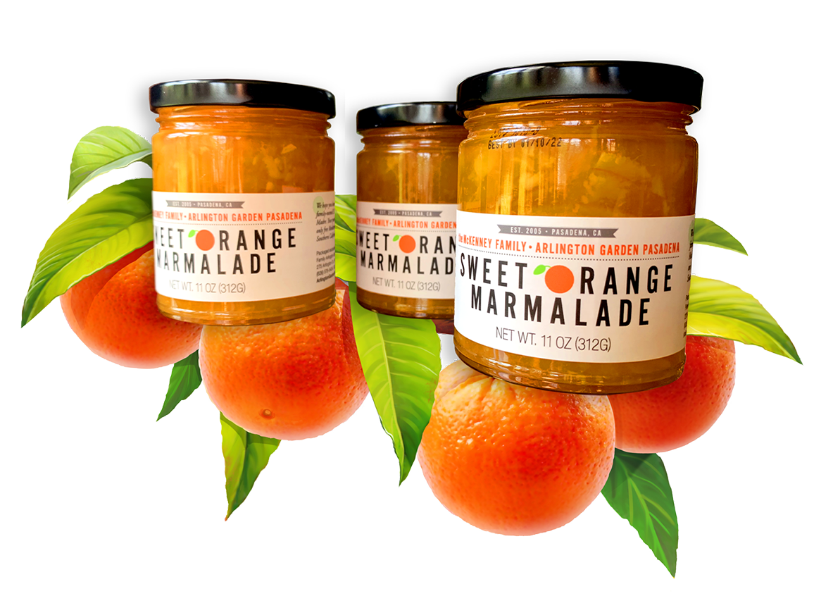 Marmalade Free PNG